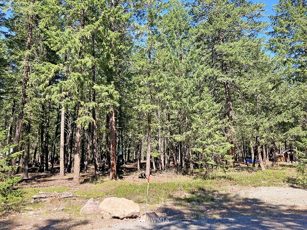 26 & 27 On Moate Road Mazama, WA 98833 - Photo 4 of 12 Gallery Image 4