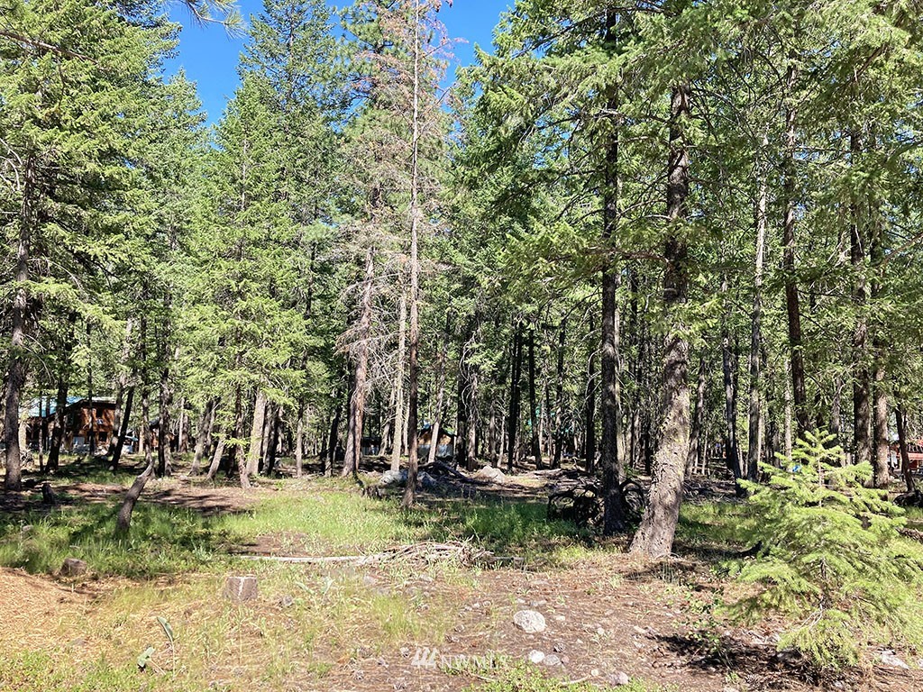 26 & 27 On Moate Road Mazama, WA 98833 - Photo 5 of 12 Gallery Image 5