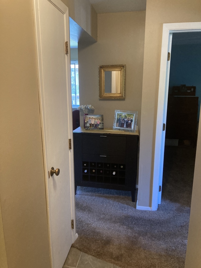 2461 Spring Street, Unit 3504 Woodridge, IL 60517 - Photo 12 of 20