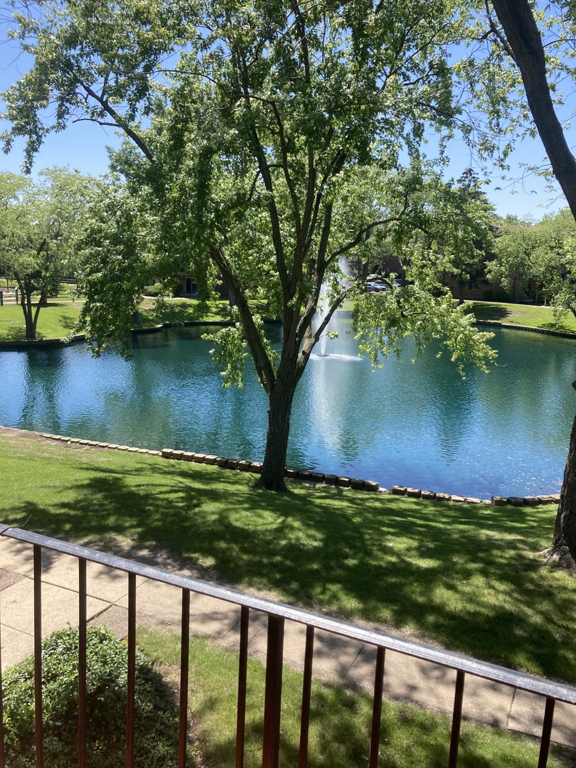2461 Spring Street, Unit 3504 Woodridge, IL 60517 - Photo 19 of 20 a view of a lake from a yard