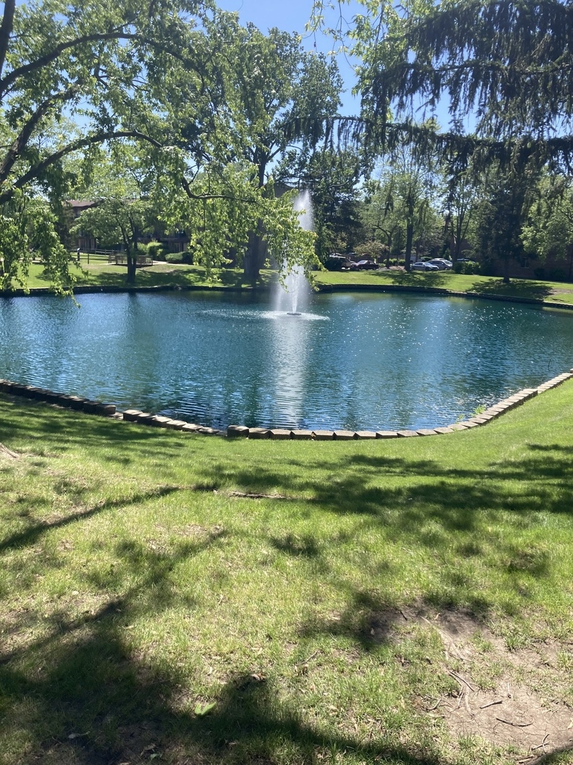 2461 Spring Street, Unit 3504 Woodridge, IL 60517 - Photo 2 of 20 a view of a lake with houses in the back