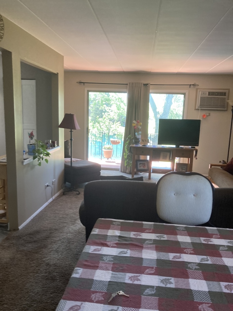 2461 Spring Street, Unit 3504 Woodridge, IL 60517 - Photo 8 of 20 a living room with a couch and a potted plant