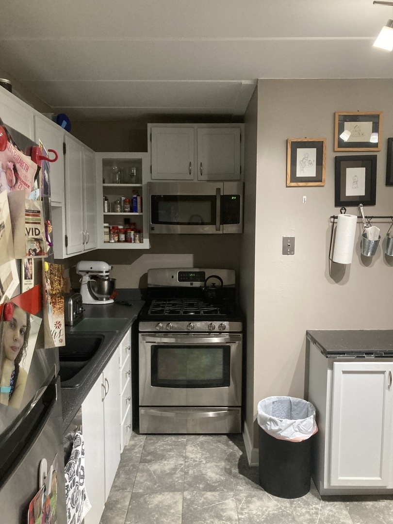 2461 Spring Street, Unit 3504 Woodridge, IL 60517 - Photo 10 of 20 a kitchen with a stove and a sink