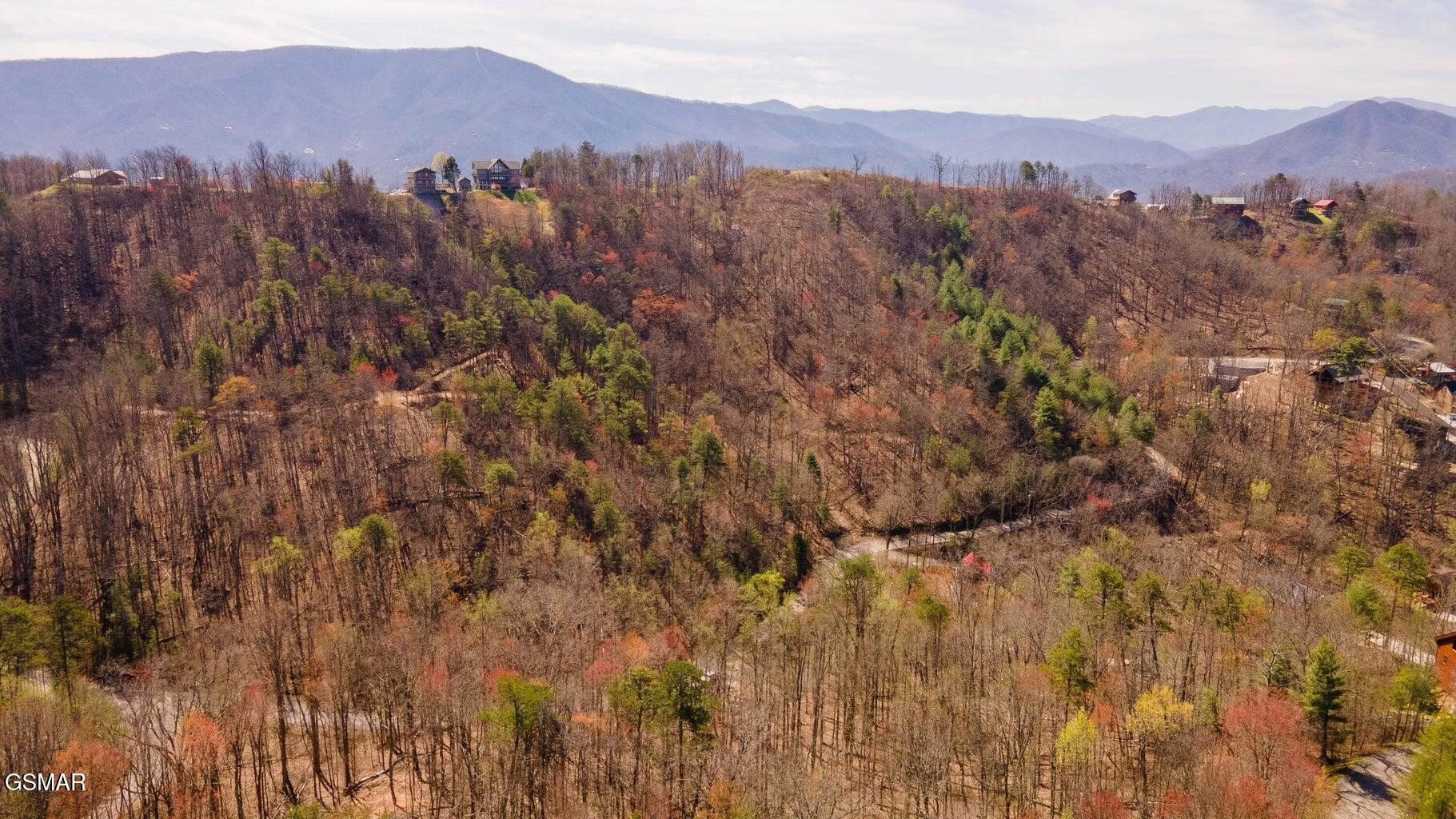 2 Lone Ridge Drive Sevierville, TN 37862 - Photo 3 of 9