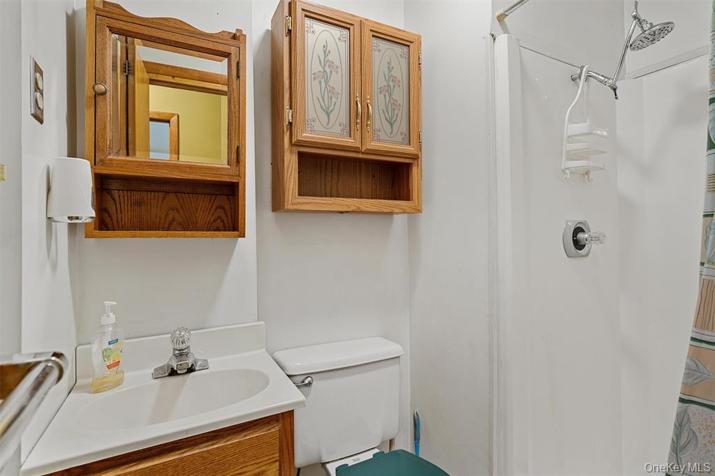 1013 Cooley Road Parksville, NY 12768 - Photo 16 of 44 a bathroom with a sink a toilet and shower