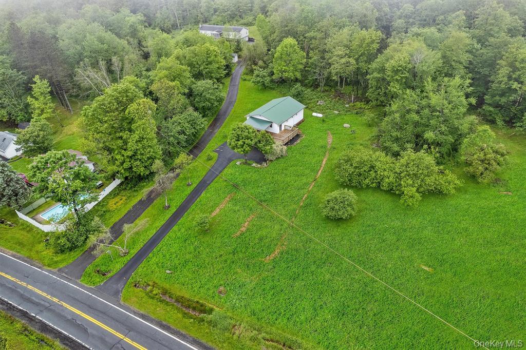 1013 Cooley Road Parksville, NY 12768 - Photo 3 of 44 a backyard of a house with a yard and outdoor seating