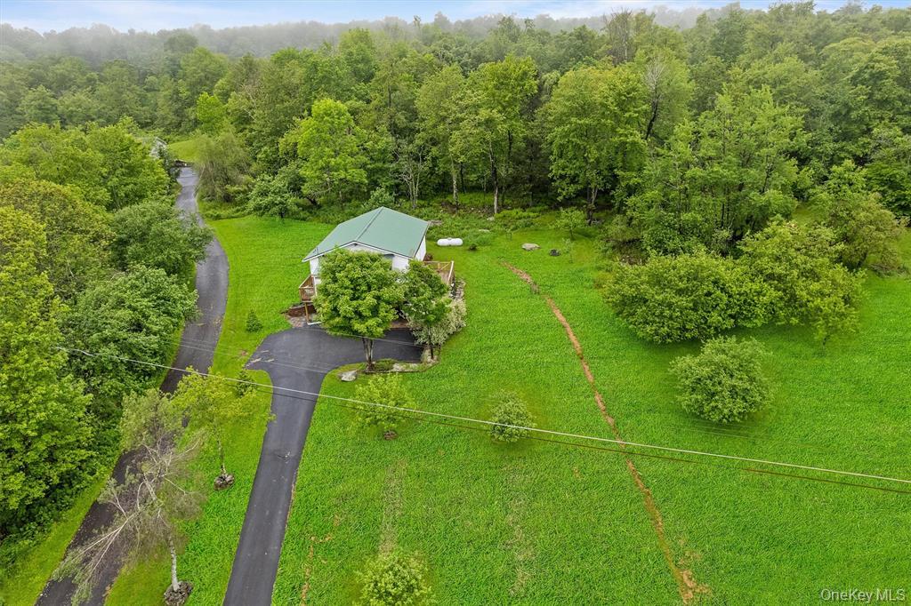 1013 Cooley Road Parksville, NY 12768 - Photo 36 of 44 a green field with lots of bushes