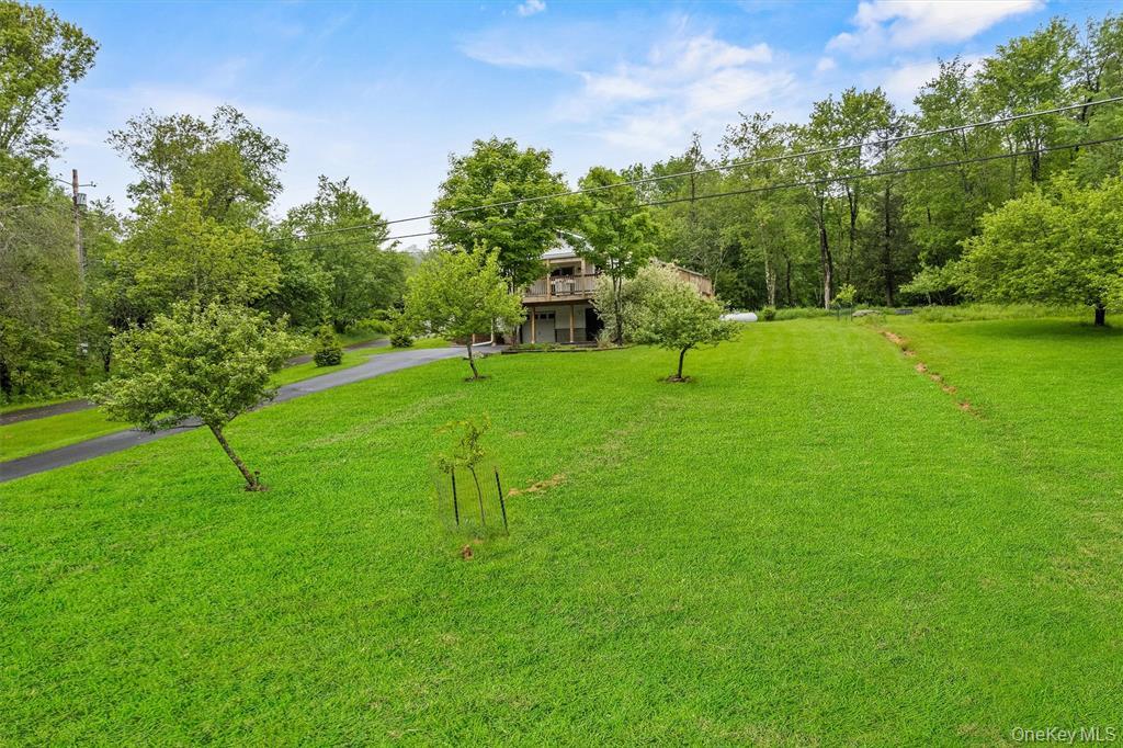 1013 Cooley Road Parksville, NY 12768 - Photo 38 of 44 a view of yard with trampoline