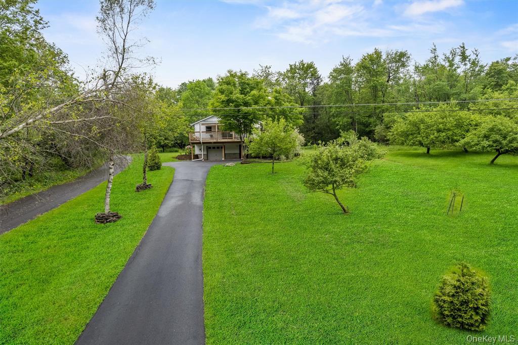 1013 Cooley Road Parksville, NY 12768 - Photo 4 of 44 a view of a park with large trees