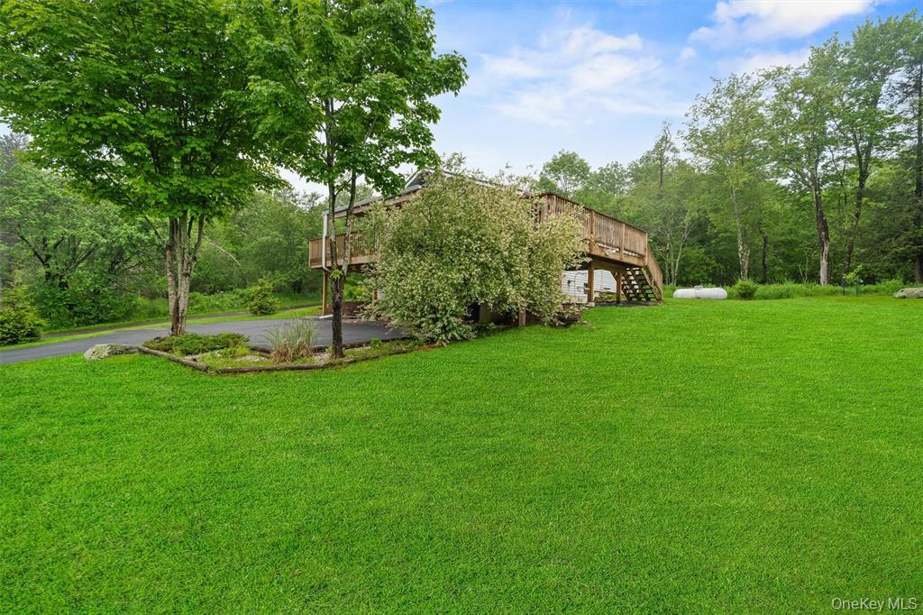 1013 Cooley Road Parksville, NY 12768 - Photo 5 of 44 a view of a park with a tree