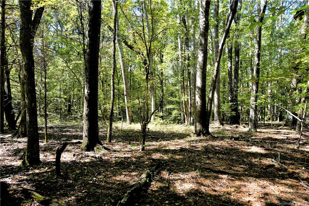 14.5-ac 14.5-ac Holly Road, Unit TRACT 2 Clover, SC 29710 - Photo 1 of 15 Gallery Image 1