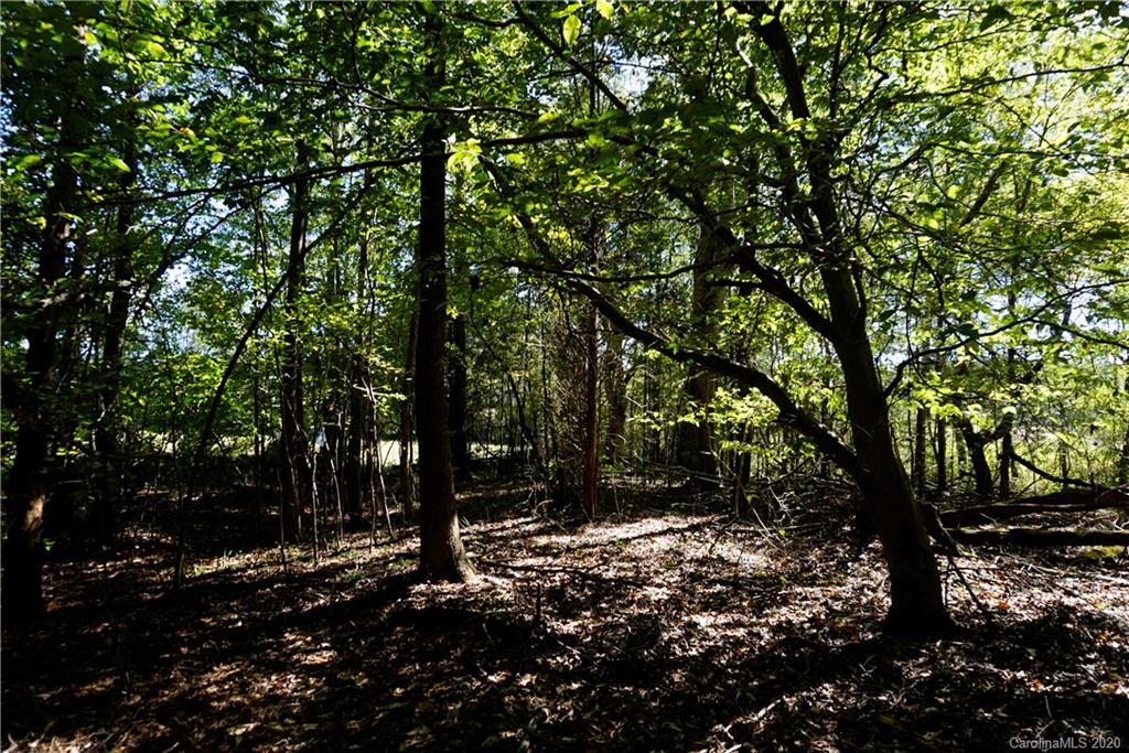 14.5-ac 14.5-ac Holly Road, Unit TRACT 2 Clover, SC 29710 - Photo 2 of 15 Gallery Image 2