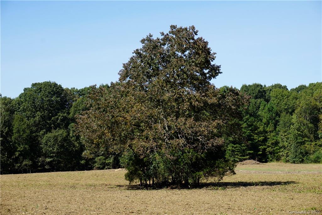 14.5-ac 14.5-ac Holly Road, Unit TRACT 2 Clover, SC 29710 - Photo 12 of 15 Gallery Image 12