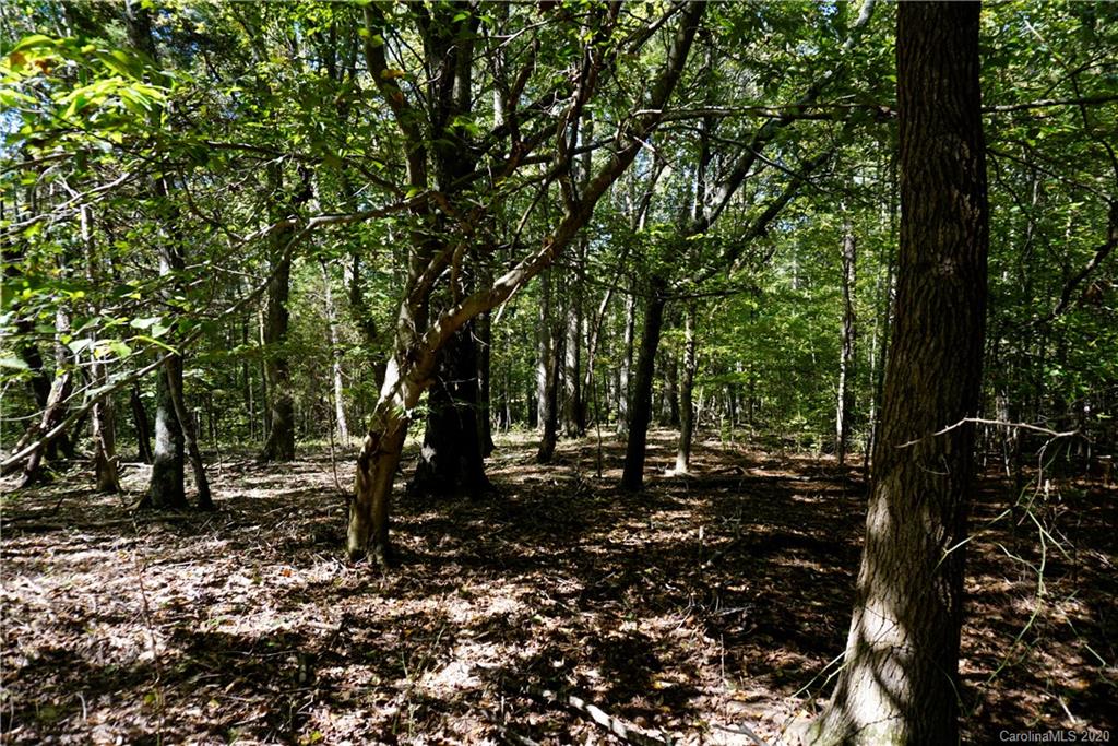 14.5-ac 14.5-ac Holly Road, Unit TRACT 2 Clover, SC 29710 - Photo 3 of 15 Gallery Image 3