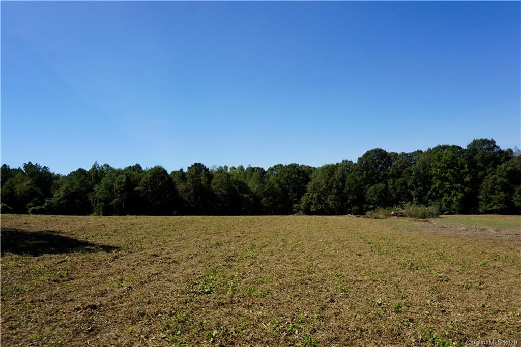 14.5-ac 14.5-ac Holly Road, Unit TRACT 2 Clover, SC 29710 - Photo 9 of 15 Gallery Image 9
