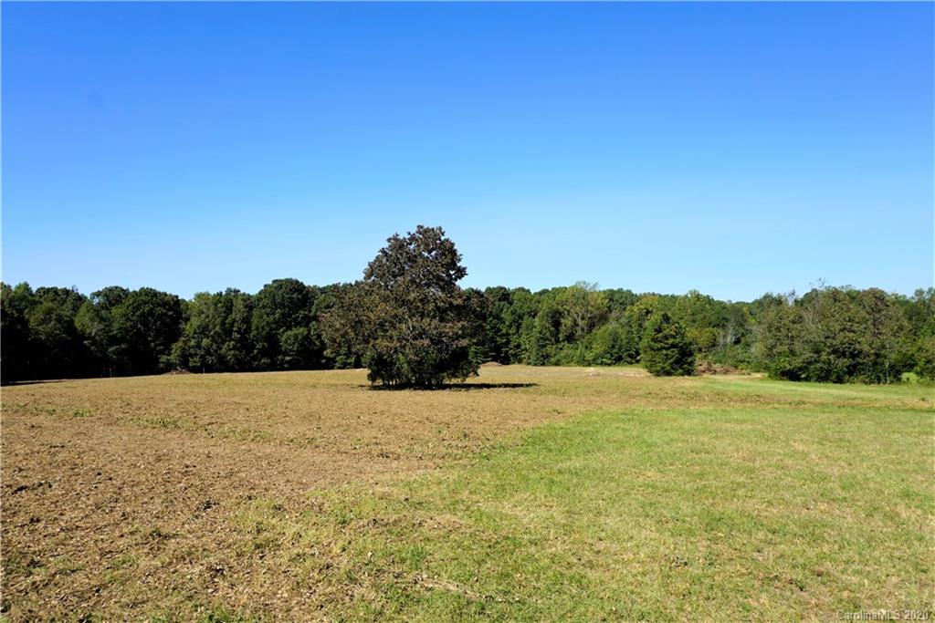 14.5-ac 14.5-ac Holly Road, Unit TRACT 2 Clover, SC 29710 - Photo 10 of 15 Gallery Image 10