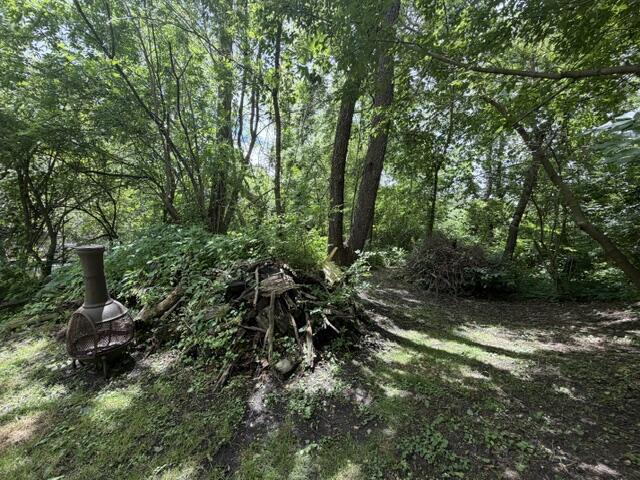 125 State Road Dowagiac, MI 49047 - Photo 4 of 7 lisa land IMG_1640