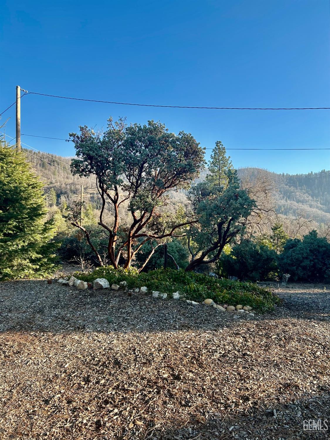 Undisclosed Address Posey, CA 93260 - Photo 34 of 39 a view of a yard with a tree