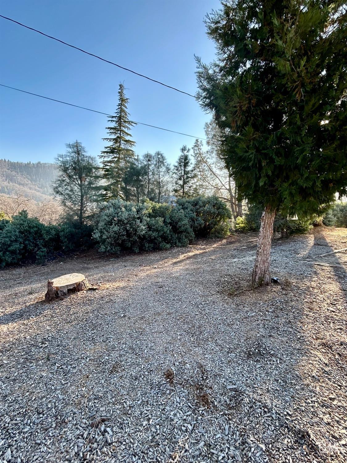 Undisclosed Address Posey, CA 93260 - Photo 38 of 39 a backyard of a house with lots of green space