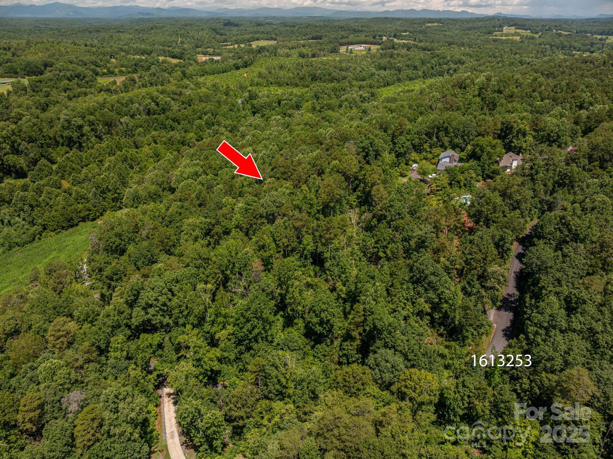 Lot 165 Plantation Drive Rutherfordton, NC 28139 - Photo 5 of 18 an aerial view of residential houses with outdoor space and trees