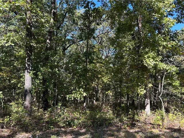 $22,000 | Kip Drive, Edwards, MO 65326