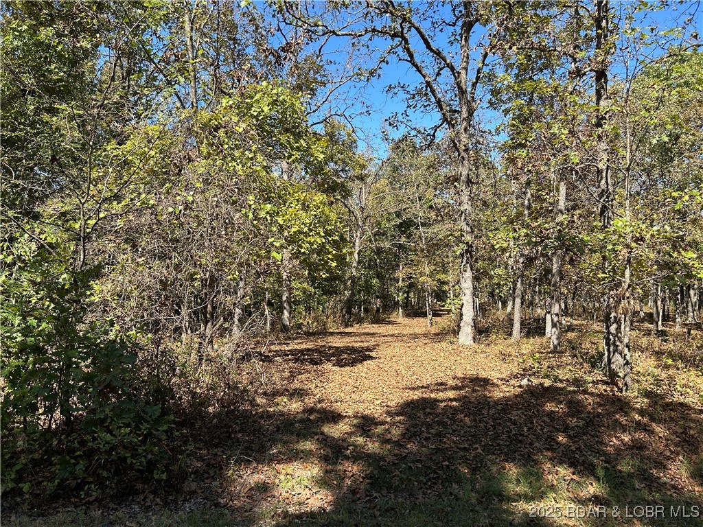 Kip Drive Edwards, MO 65326 - Photo 12 of 23