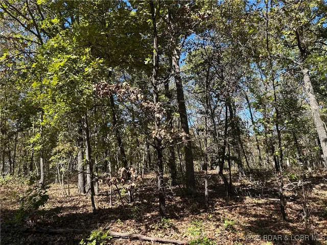 $22,000 | Kip Drive, Edwards, MO 65326