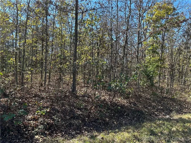 $22,000 | Kip Drive, Edwards, MO 65326