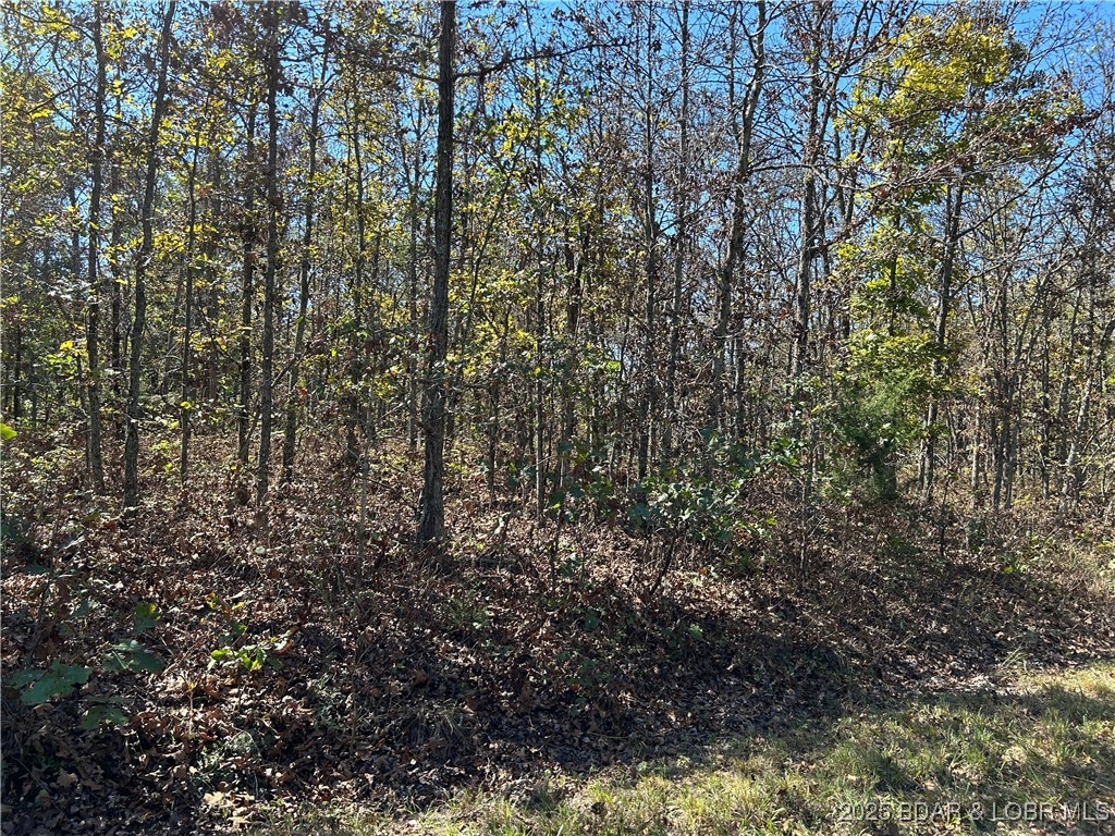 Kip Drive Edwards, MO 65326 - Photo 14 of 23