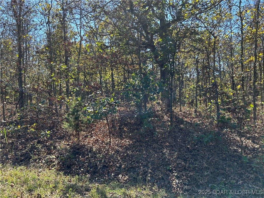 Kip Drive Edwards, MO 65326 - Photo 15 of 23