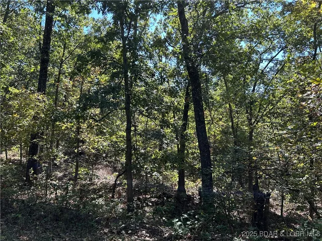 $22,000 | Kip Drive, Edwards, MO 65326