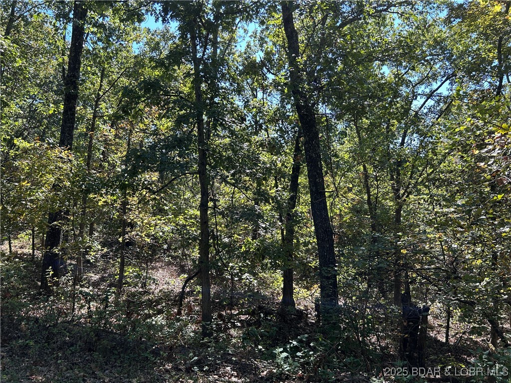 Kip Drive Edwards, MO 65326 - Photo 16 of 23