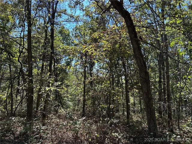 $22,000 | Kip Drive, Edwards, MO 65326