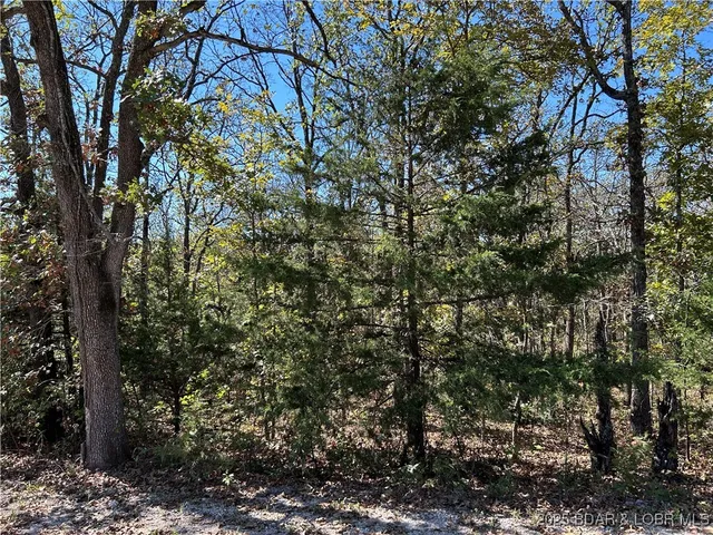 $22,000 | Kip Drive, Edwards, MO 65326