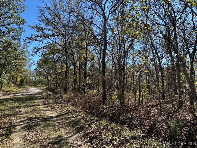 $22,000 | Kip Drive, Edwards, MO 65326