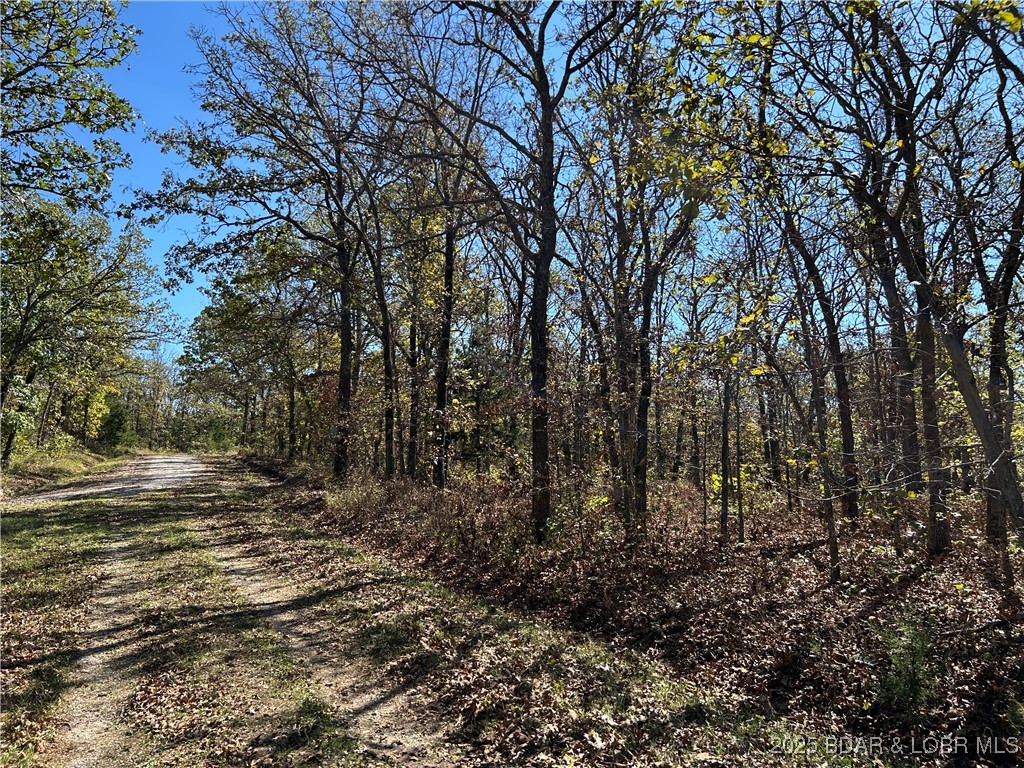 Kip Drive Edwards, MO 65326 - Photo 19 of 23