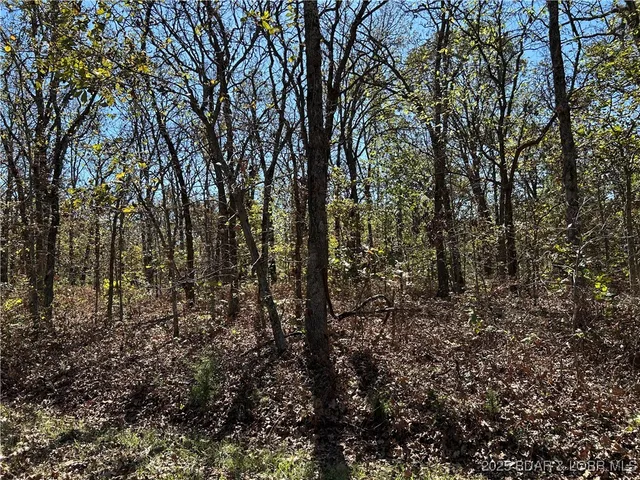 $22,000 | Kip Drive, Edwards, MO 65326