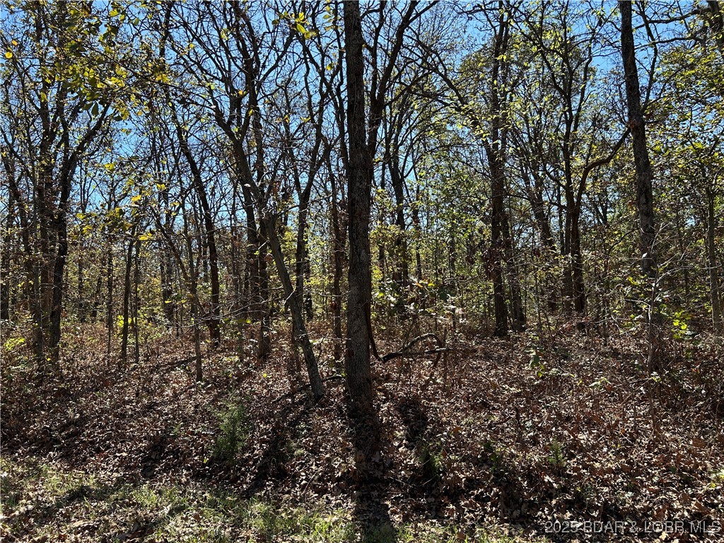 Kip Drive Edwards, MO 65326 - Photo 20 of 23