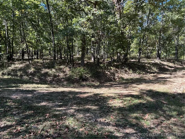 $22,000 | Kip Drive, Edwards, MO 65326