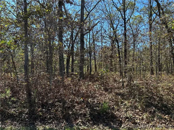 $22,000 | Kip Drive, Edwards, MO 65326