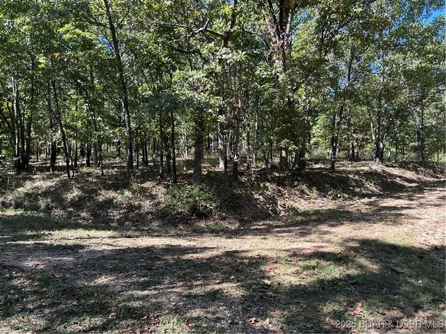 $22,000 | Kip Drive, Edwards, MO 65326