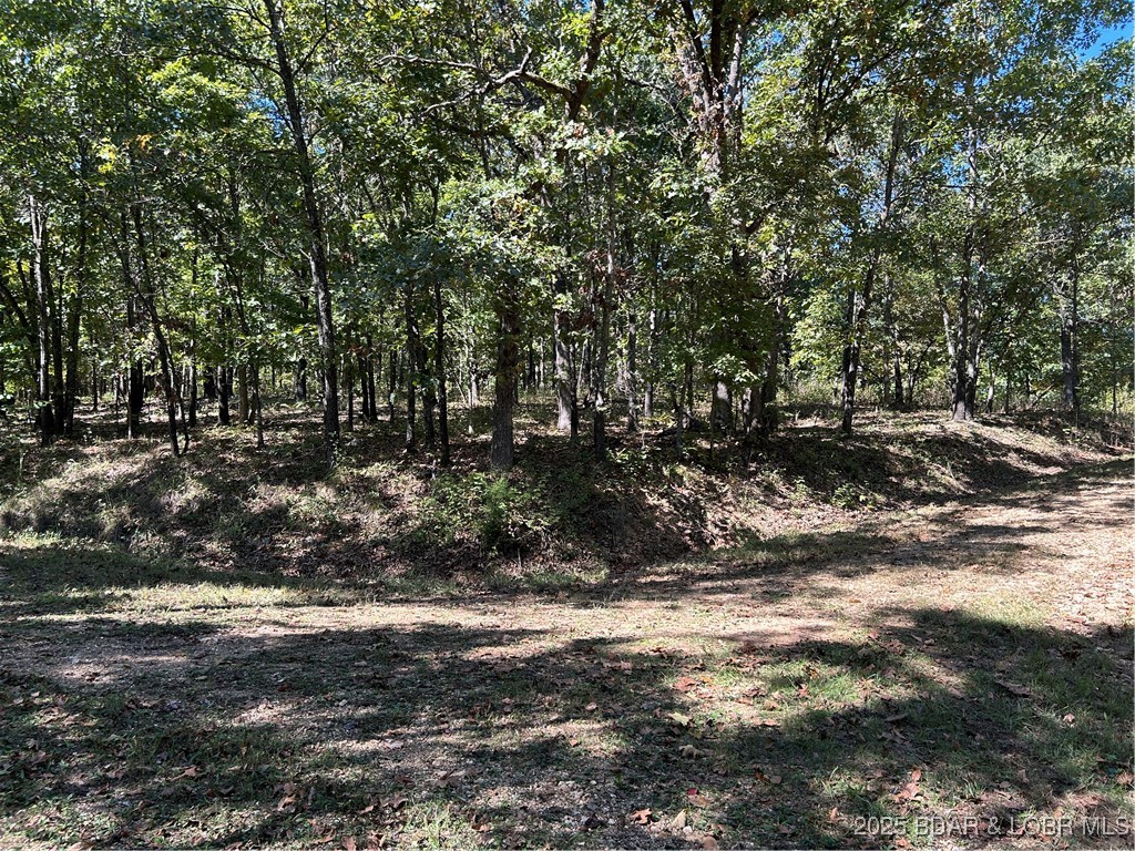 Kip Drive Edwards, MO 65326 - Photo 3 of 23