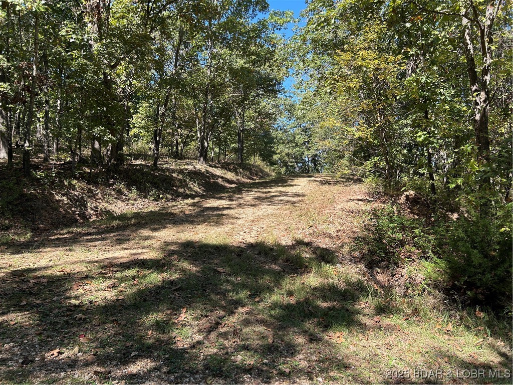 Kip Drive Edwards, MO 65326 - Photo 4 of 23