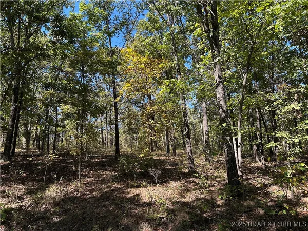 $22,000 | Kip Drive, Edwards, MO 65326