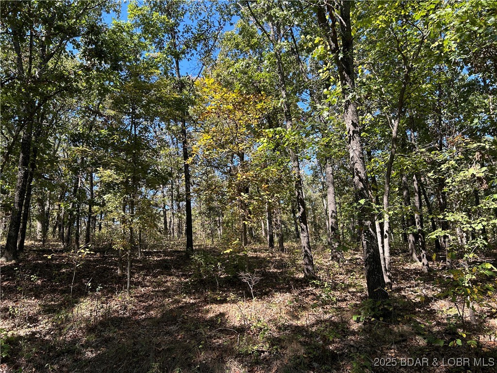 Kip Drive Edwards, MO 65326 - Photo 5 of 23