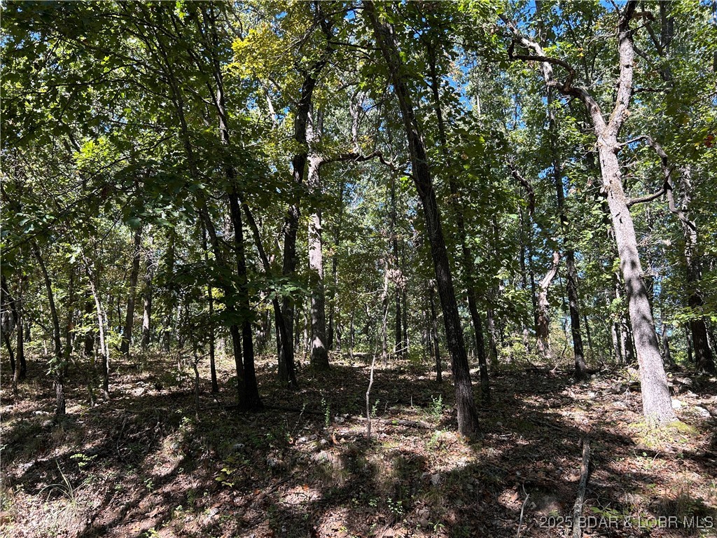 Kip Drive Edwards, MO 65326 - Photo 6 of 23