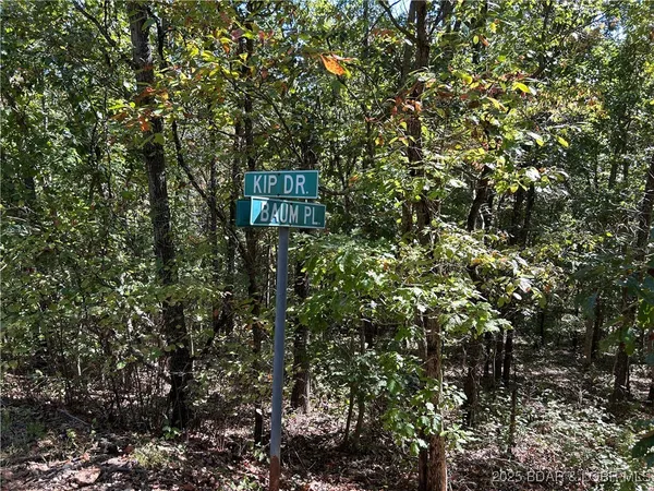 $22,000 | Kip Drive, Edwards, MO 65326