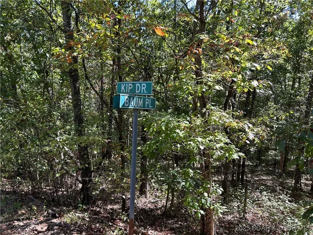 $22,000 | Kip Drive, Edwards, MO 65326