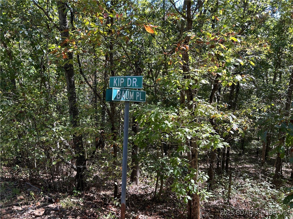 Kip Drive Edwards, MO 65326 - Photo 7 of 23