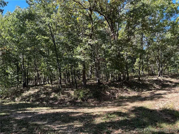 $22,000 | Kip Drive, Edwards, MO 65326